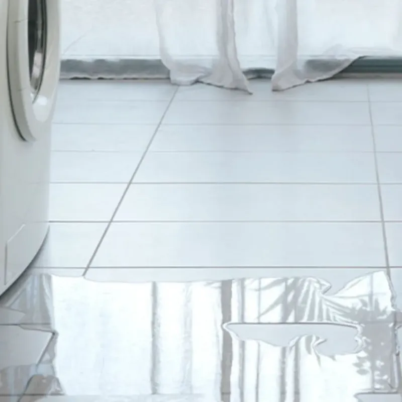 Appliance Leak Cleanup in Corunna, MI