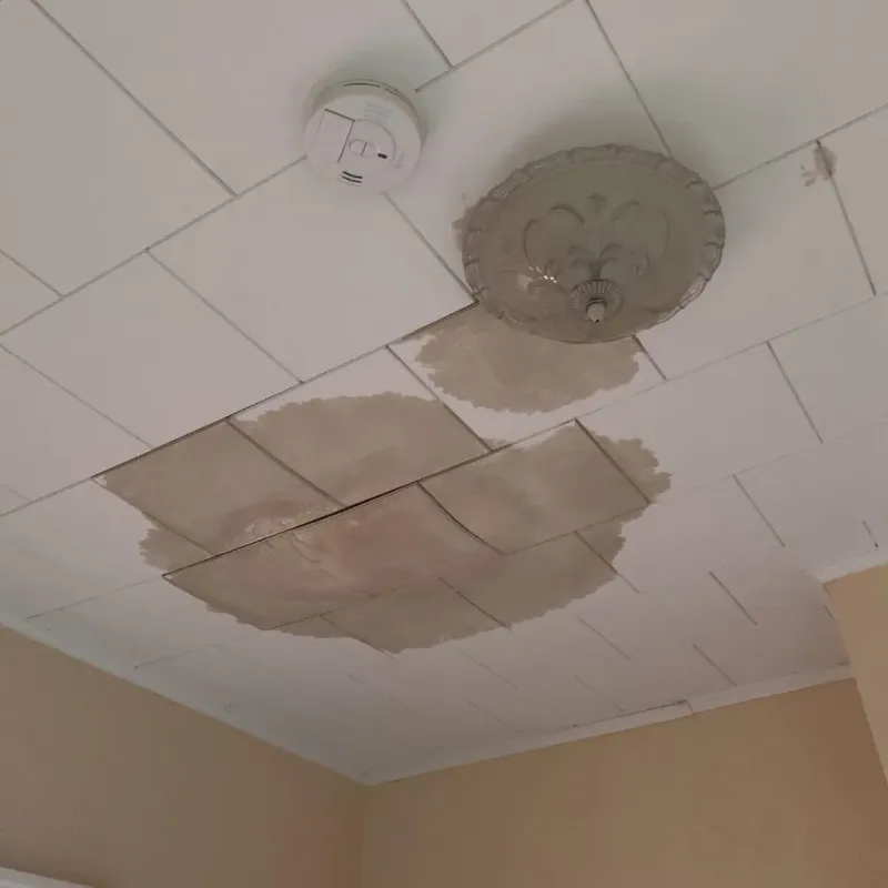 Ceiling Water Damage Repair in Corunna, MI