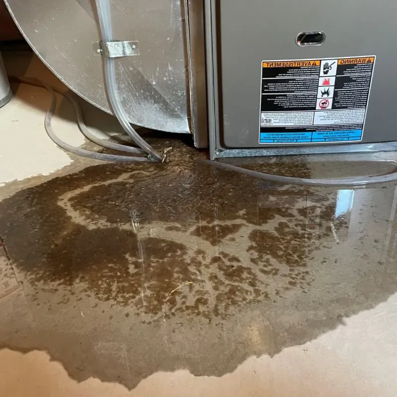 Pipe Burst and Leak Restoration in Corunna, MI