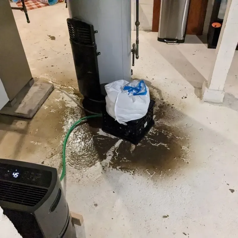 Sewage Backup Cleanup Service in Corunna, MI